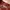 Sleeveless Blouse PAPRIKA