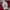 Varsity Jacket Starter Washington Bullets NBA photo 2