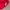 Erspo Timnas 2025 Jersey Supporter Home SS Red White photo 4