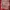 Erspo Timnas 2025 Jersey Supporter Home SS Red White photo 6