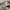 G O A Distress Type M65 Cargo Pants photo 7