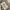 G O A Distress Type M65 Cargo Pants photo 6