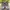 Skechers MT 410 photo 5