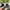 Skechers MT 410 photo 3