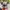 Skechers MT 410 photo 6