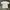 Tshirt Doraemon OFFICIAL  photo 1