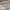 Champion Brooklyn NYC Sweatpants Grey photo 3