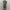 Dress Balon Puffy in Elegant Brown photo 6