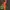 BILLIE EILISH X H&M black Green Red Hoodie Size S  photo 1