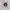 Kaos Band Merch Pull & Bear RHCP (Unisex) photo 5
