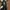 Longchamp Hiatus Bag photo 5