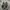 SUPRA footwear chad muska grey canvas 'skytop skate ' photo 5