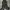 CARHARTT OVERALL