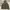 Louis vuitton jaket photo 1