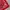 The North Face Vintage Streetwear Scarf Pria red photo 4