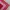 The North Face Vintage Streetwear Scarf Pria red photo 6