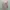 Dress Balon Puffy Dusty Pink photo 5