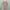 Dress Balon Puffy Dusty Pink photo 7