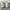 Nike Court Vision Pro Triple White 40 (NEGO) photo 5