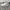 Nike Court Vision Pro Triple White 40 (NEGO) photo 1