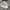 Nike Court Vision Pro Triple White 40 (NEGO) photo 8