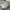 Nike Court Vision Pro Triple White 40 (NEGO) photo 2