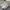 Nike Court Vision Pro Triple White 40 (NEGO)