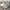 Nike Court Vision Pro Triple White 40 (NEGO) photo 7