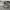 Adidas Yeezy Gray Lime 39 photo 4