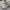 Adidas Yeezy Gray Lime 39 photo 1