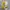 Adidas Yeezy Gray Lime 39 photo 6