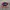 JORTS BIG POCKET photo 3