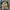 Carhartt Streetwear Y2K Denim jacket Pria tan photo 1