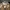 Carhartt Streetwear Y2K Denim jacket Pria tan photo 2