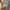 Carhartt Streetwear Y2K Denim jacket Pria tan photo 5