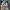 Carhartt Streetwear Y2K Denim jacket Pria tan photo 3