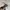 Casual Sunglass Pria brown photo 3