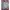 Varsity Satin MLB SOX Full Print Crown