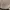 Jersey Meksiko Mexico Away 2022 Original photo 4