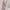 Minimalist Casual Maxi dress Wanita pink photo 2