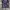 Jersey Arsenal Away 2018/2019 photo 1