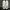 Nike Casual Sneakers Pria white photo 4