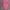 Von Dutch Pink Cap photo 1