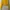 Bershka Cropped Yellow Graphic Sweater – California 98 photo 2