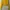 Bershka Cropped Yellow Graphic Sweater – California 98
