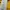 Bershka Cropped Yellow Graphic Sweater – California 98 photo 4