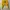 Bershka Cropped Yellow Graphic Sweater – California 98 photo 1