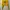 Bershka Cropped Yellow Graphic Sweater – California 98