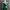 shein green satin cowl neck dress photo 2