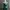Shein Green Satin Cowl Neck Dress